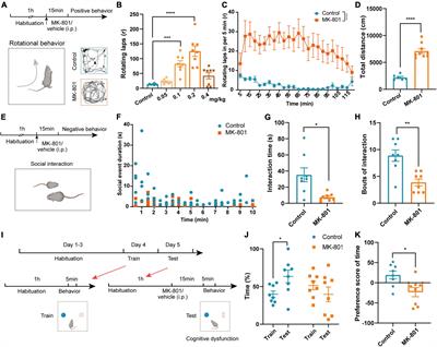 Activation of basolateral amygdala to anterior cingulate cortex circuit alleviates MK-801 induced social and cognitive deficits of schizophrenia